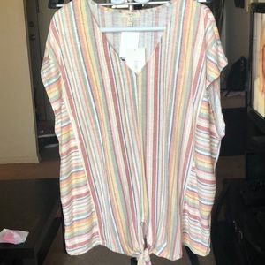 A20- BNWT Plus size shirt